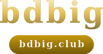 bdbig logo